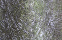 Hunderthwaite fibreglass roof work